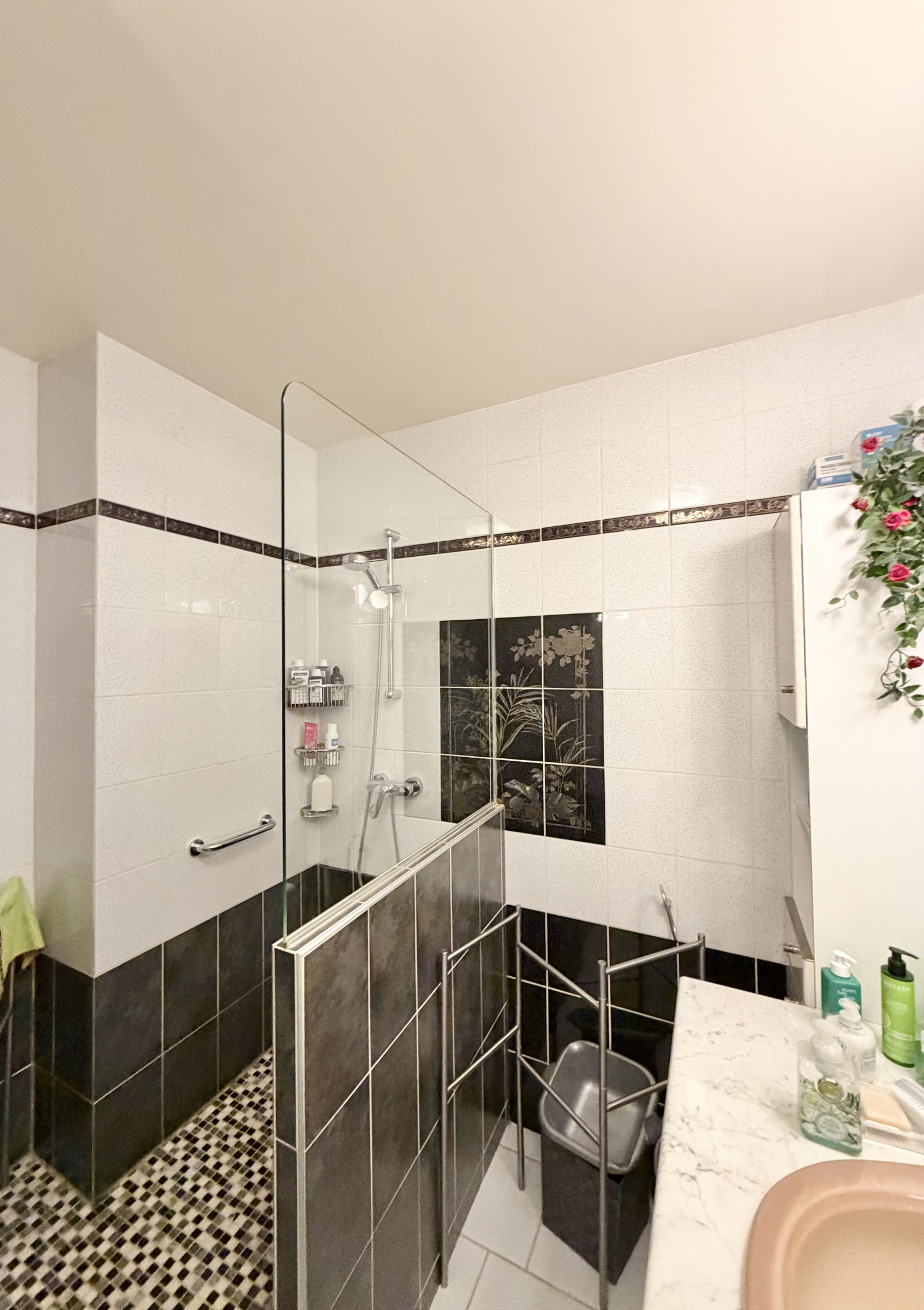 Image_, Appartement, Le Chesnay, ref :3580