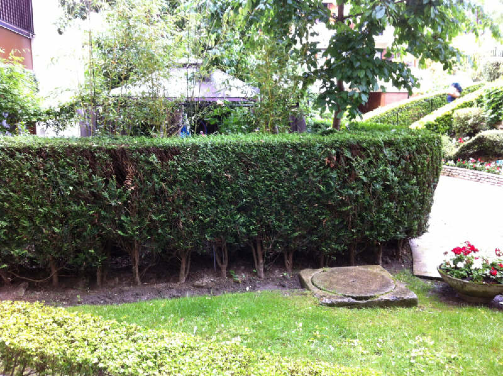 Image_, Studio, Le Chesnay, ref :00435