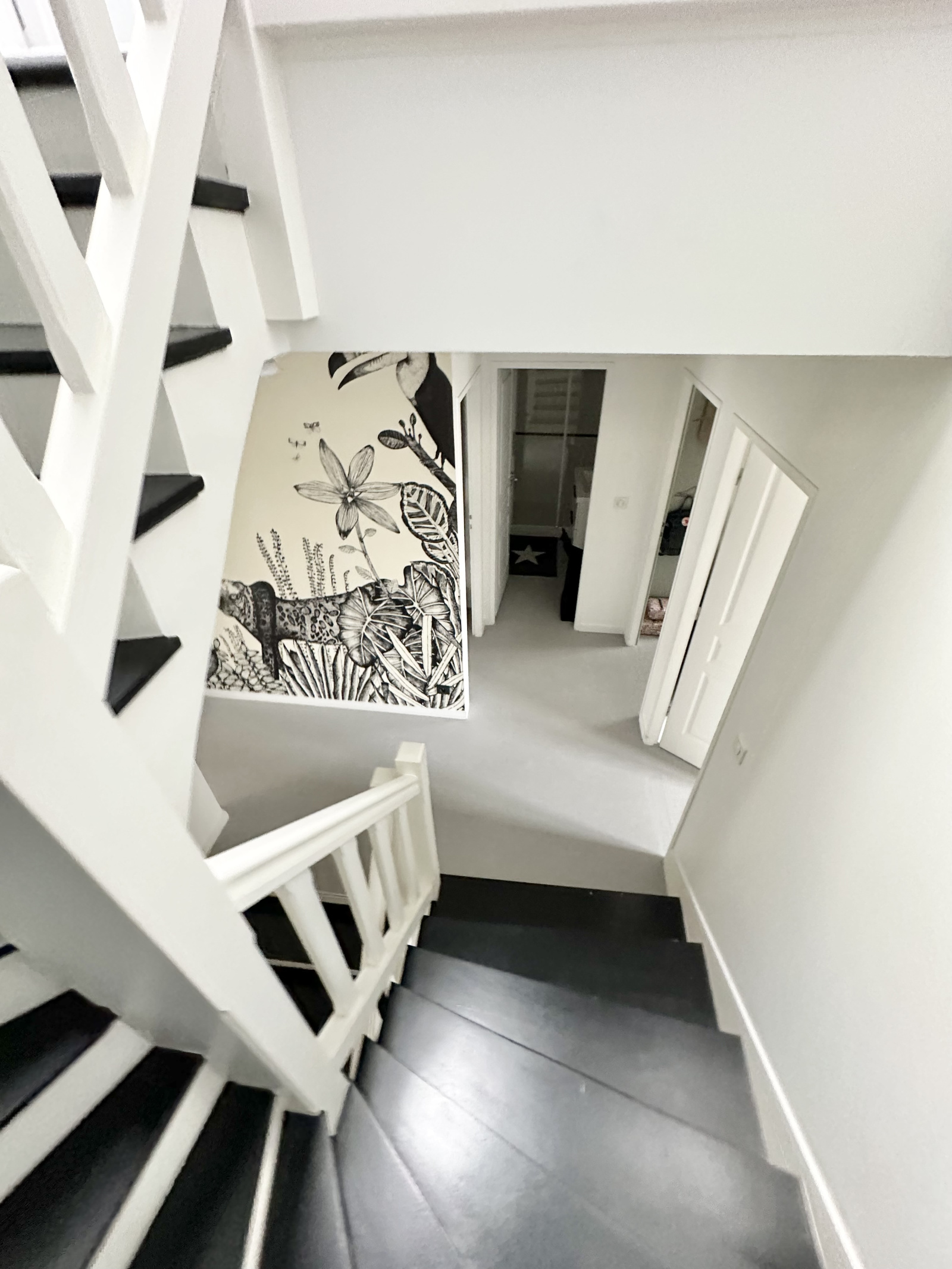 Image_, Maison, Le Chesnay Rocquencourt, ref :2282