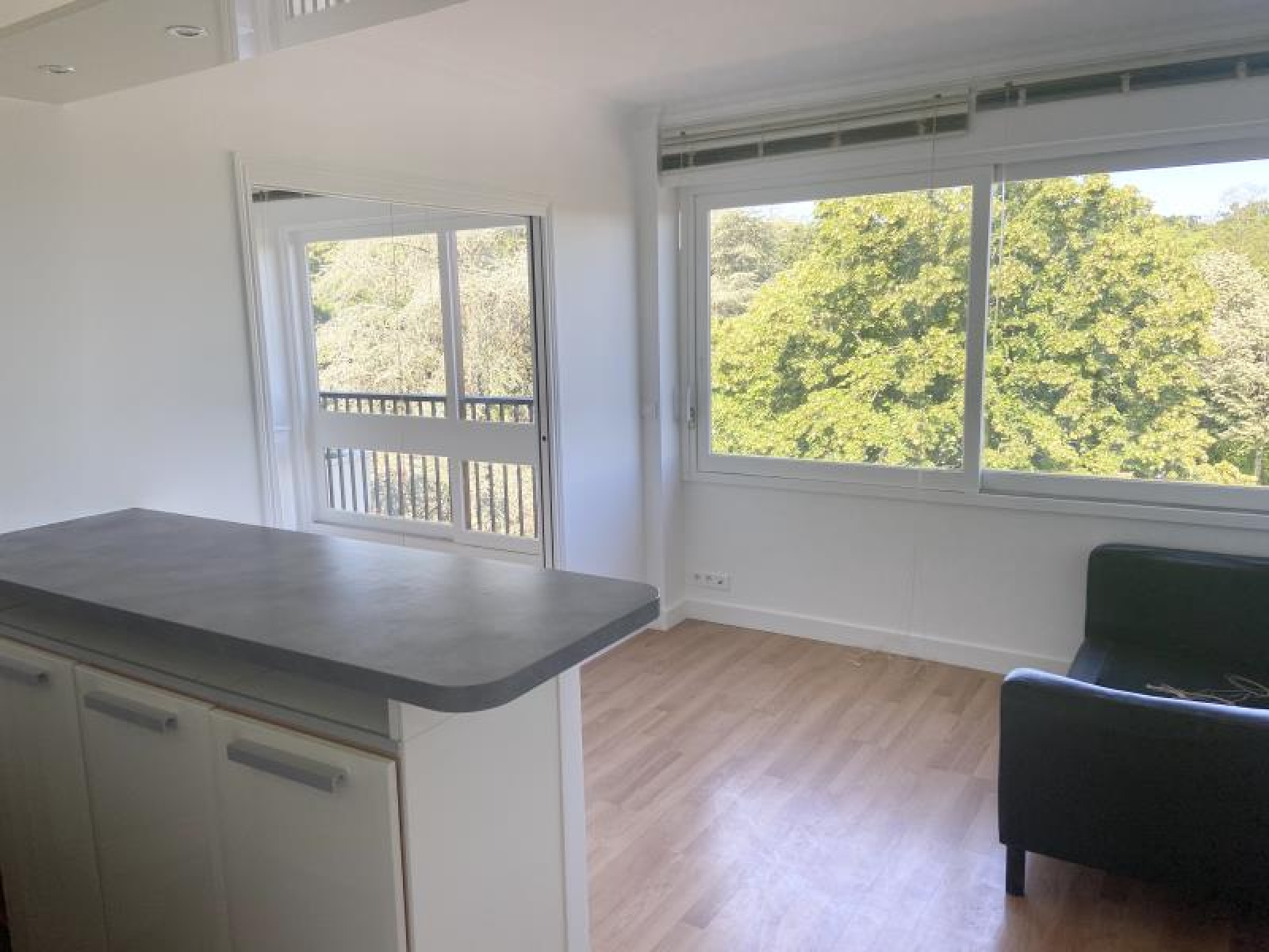 Image_, Appartement, Le Chesnay, ref :01674