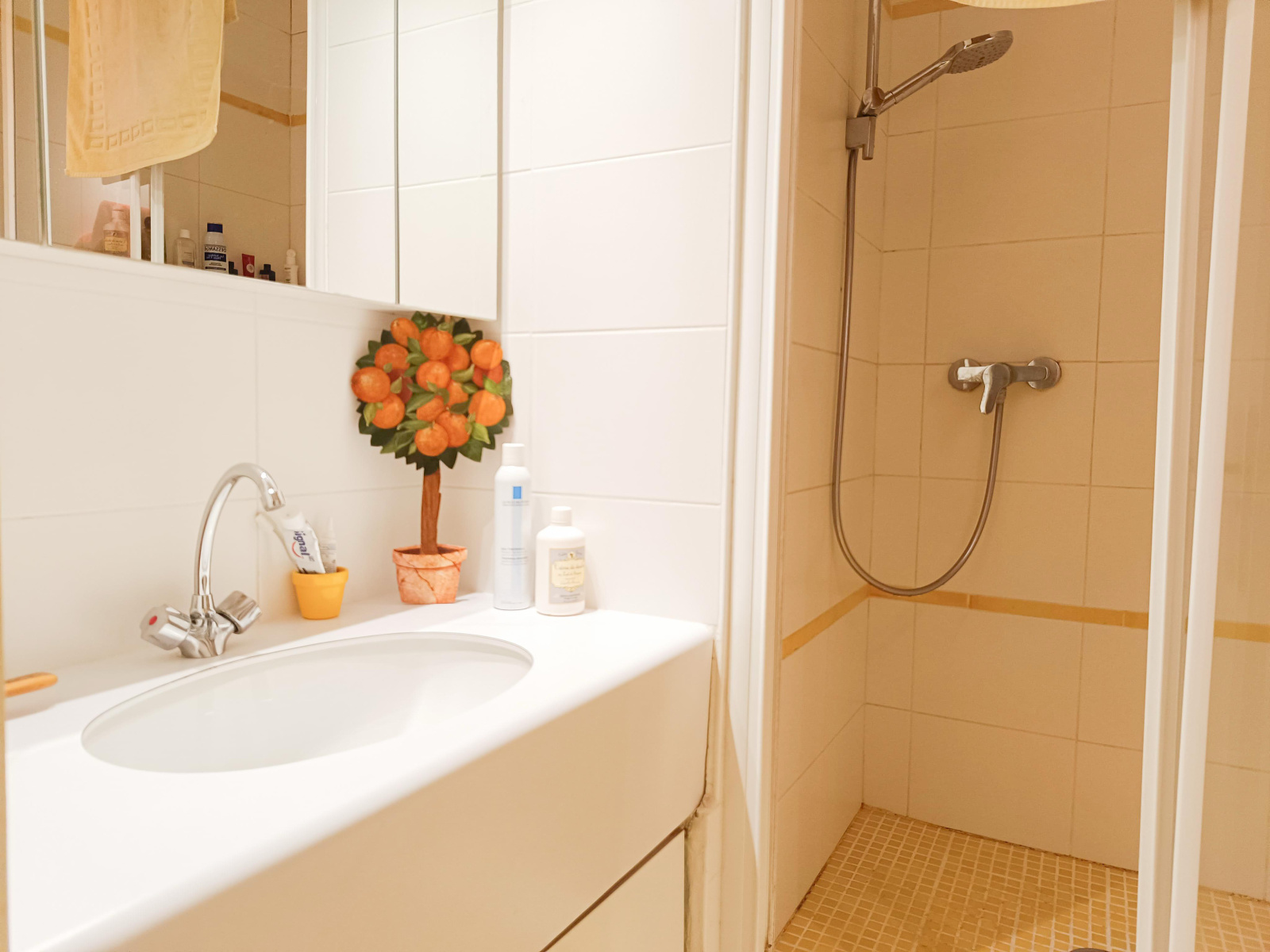 Image_, Appartement, Le Chesnay, ref :3524