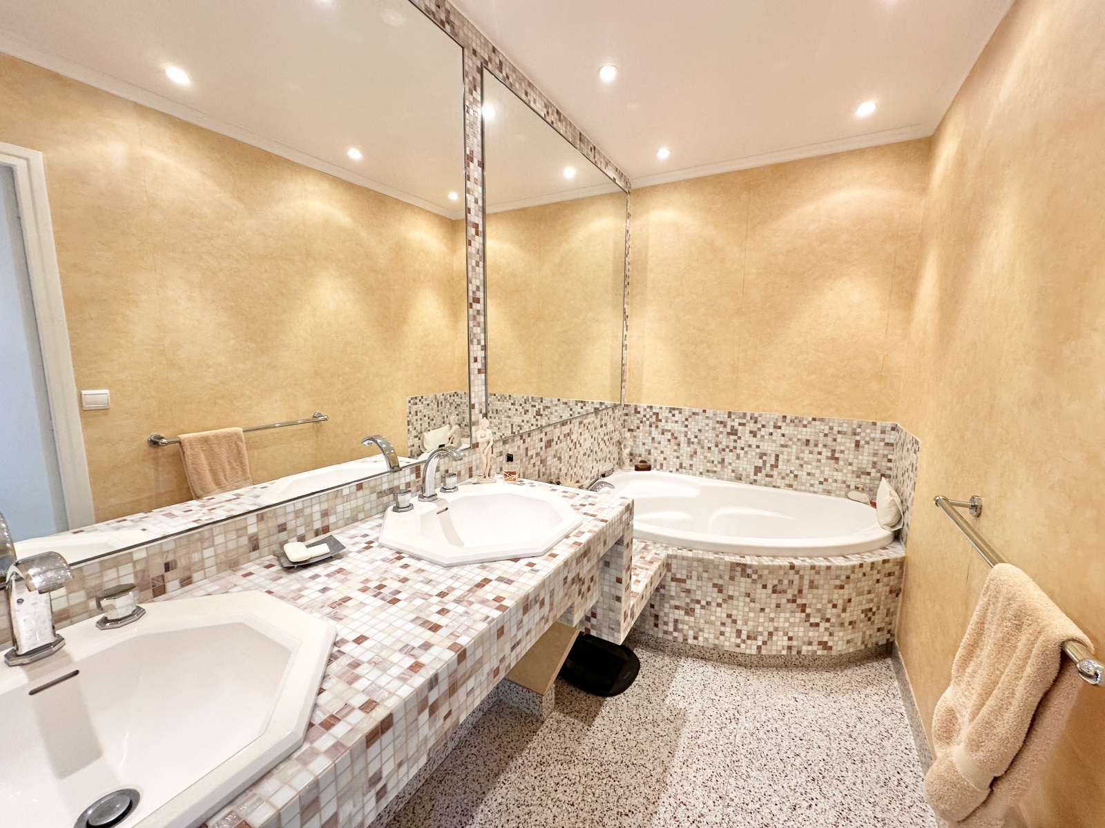 Image_, Maison, Le Chesnay, ref :3562