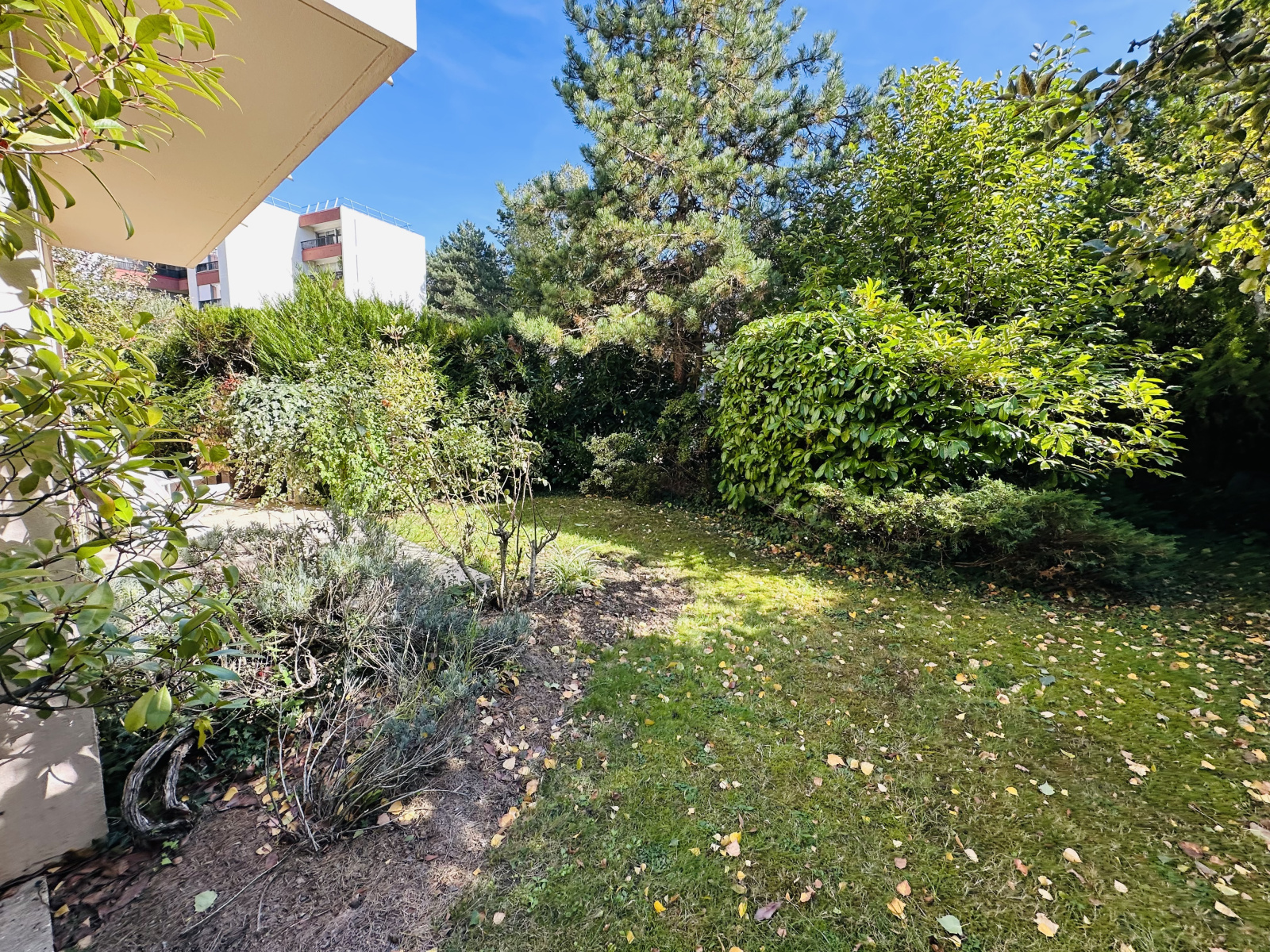 Image_, Maison, Le Chesnay, ref :3562